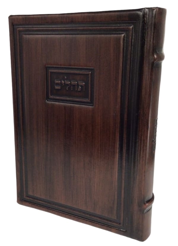 Torah Judaica