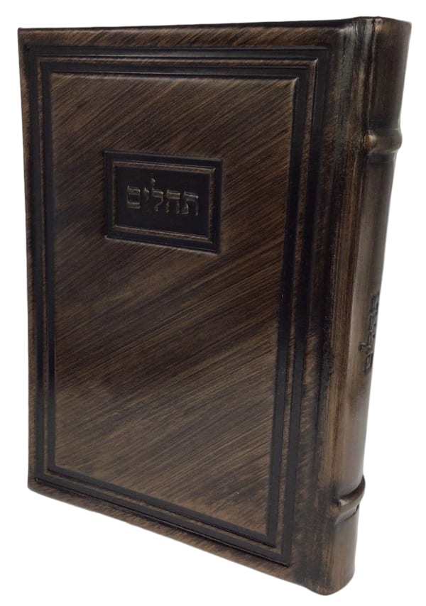 Torah Judaica