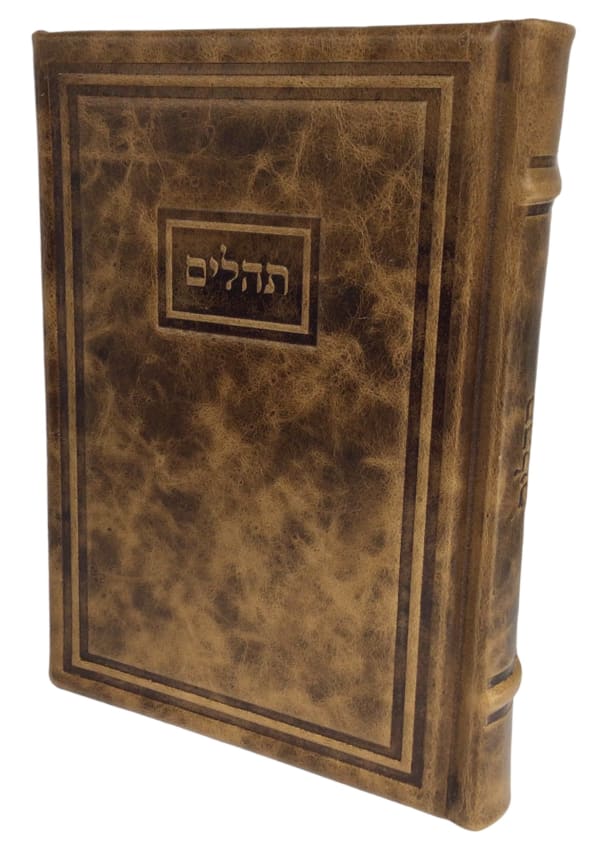 Torah Judaica