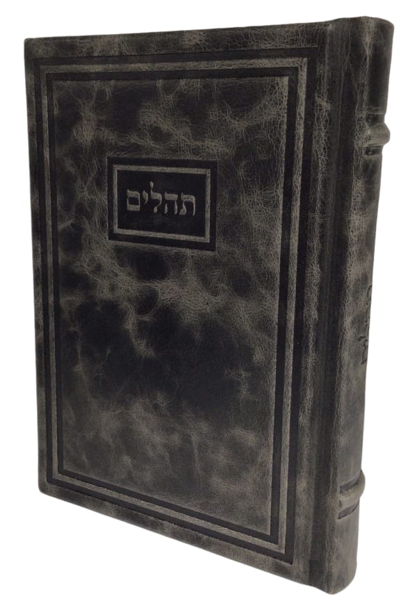 Torah Judaica