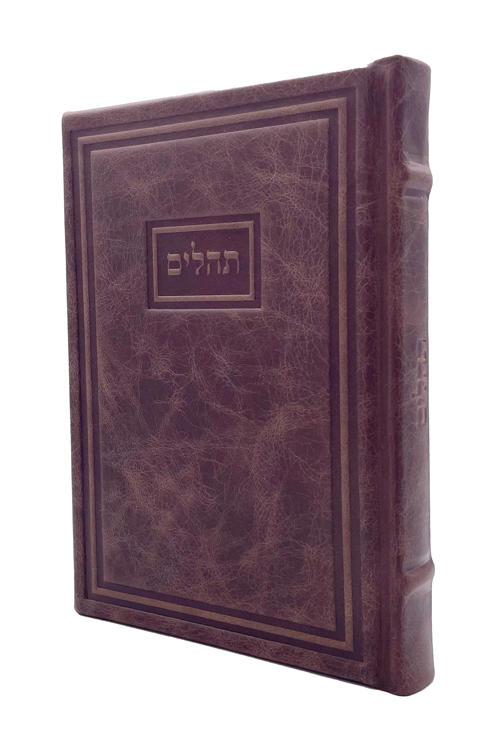 Torah Judaica